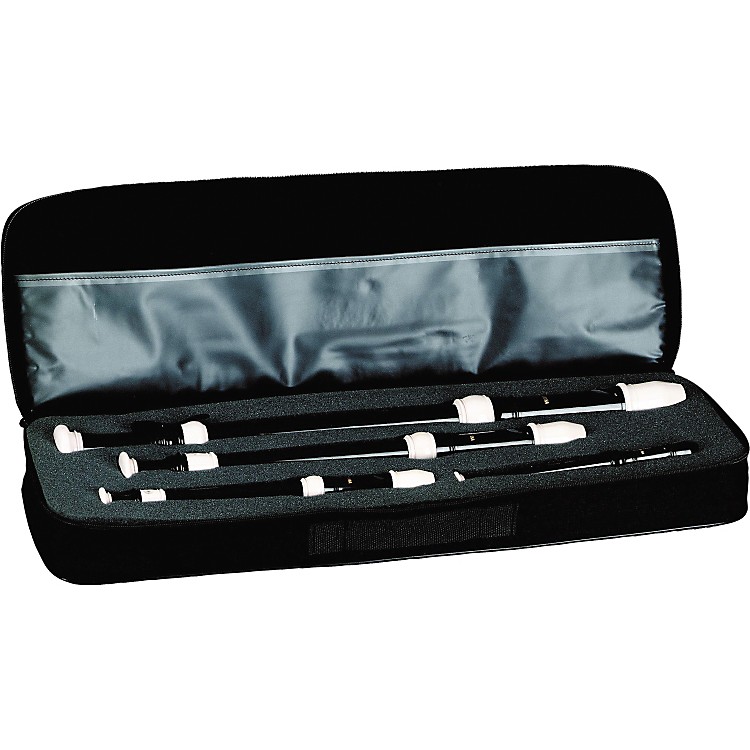 Yamaha Cordura Recorder Case Music123