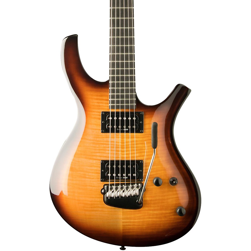 UPC 801128019703 product image for Parker Guitars PDF80 Radial Series Electric Guitar Flame Honey Burst | upcitemdb.com