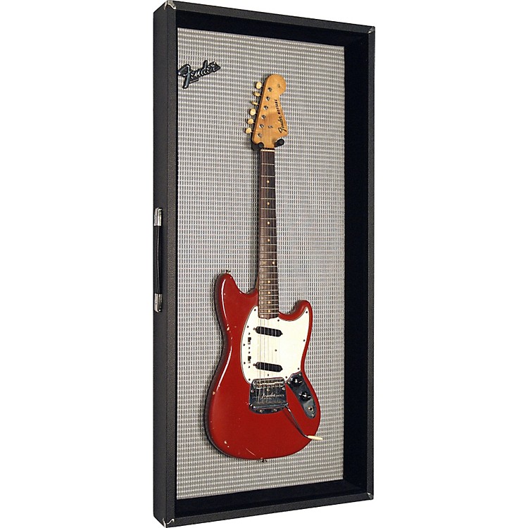 Fender PRINCETON CONVERTIBLE GUITAR DISPLAY CASE Music123