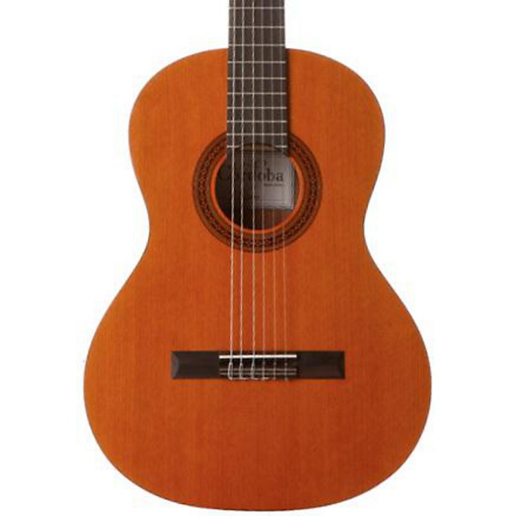 nylon string classical guitar