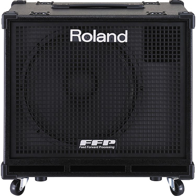 Roland DBass 115X Powered Extension Speaker Music123