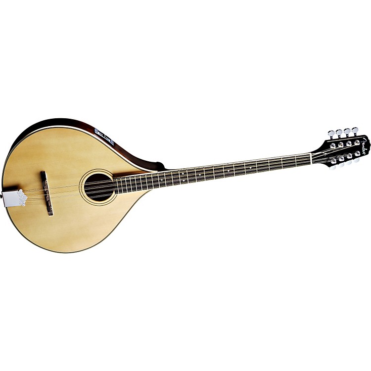 Fender FBZ66 Bouzouki Octave Mandolin Music123