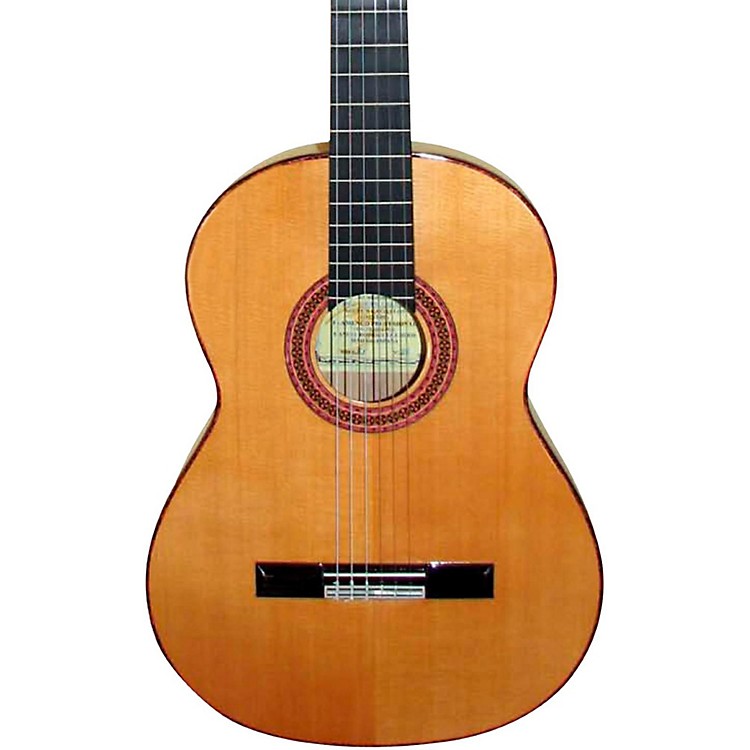 12 string spanish guitar