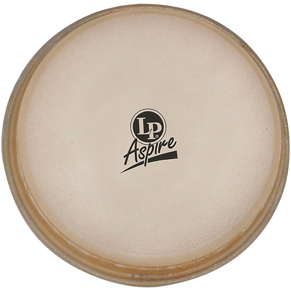 LP 11" Aspire Conga Head World Percussion Drum Head eBay
