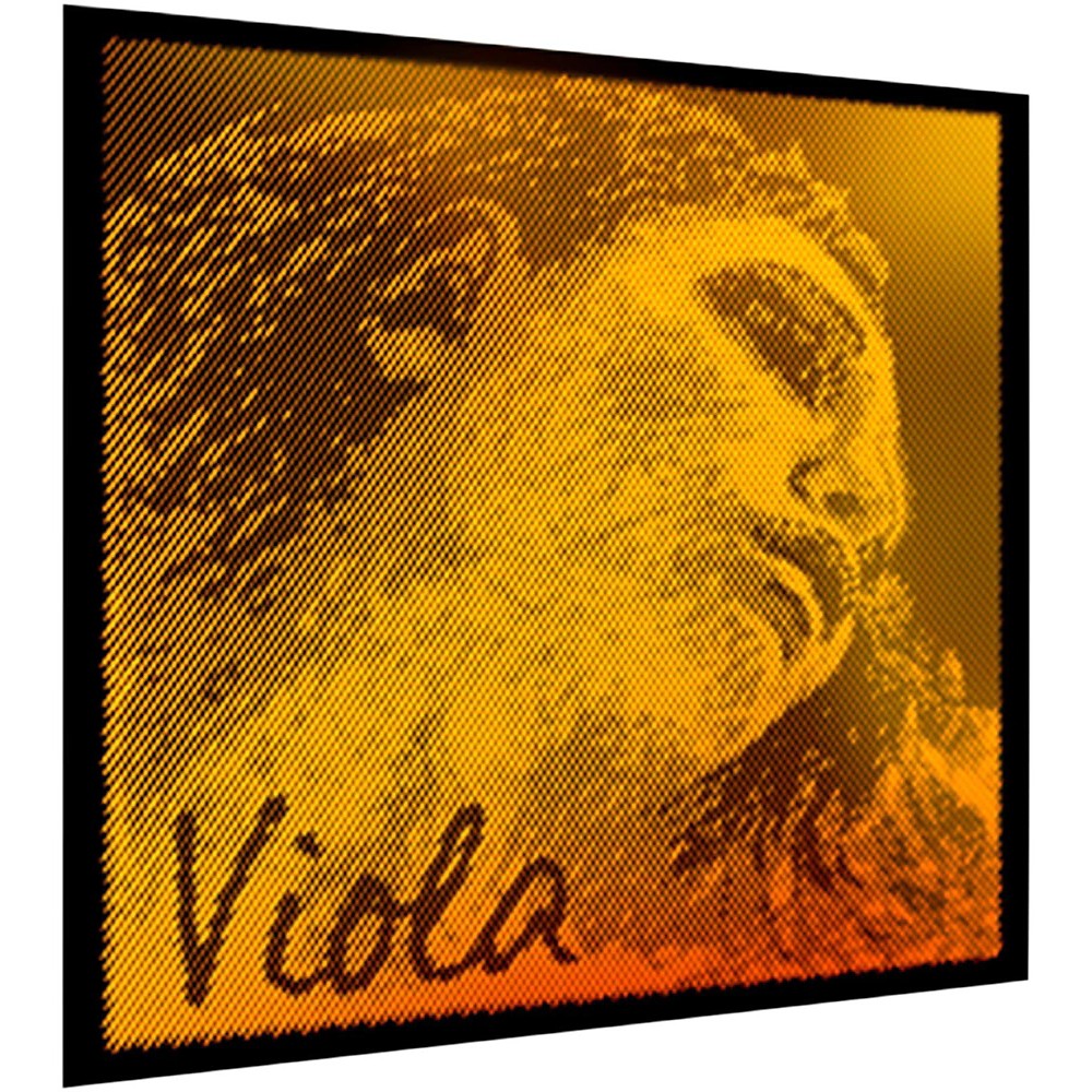 Pirastro Evah Pirazzi Gold Violin String, D
