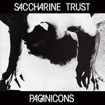 saccharine trust paganicons RARE